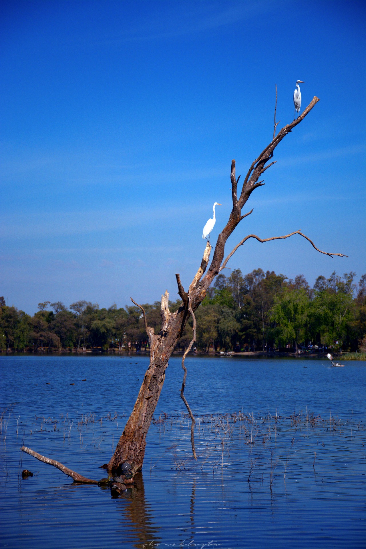 Naturaleza
